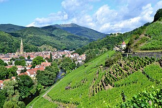 Vue de Thann